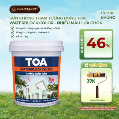 Sơn chống thấm màu Toa WaterBlock Color - 20kg