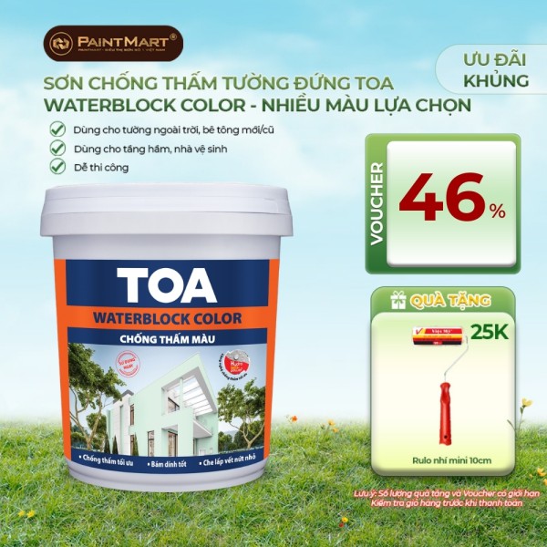 Sơn chống thấm màu Toa WaterBlock Color - 6kg
