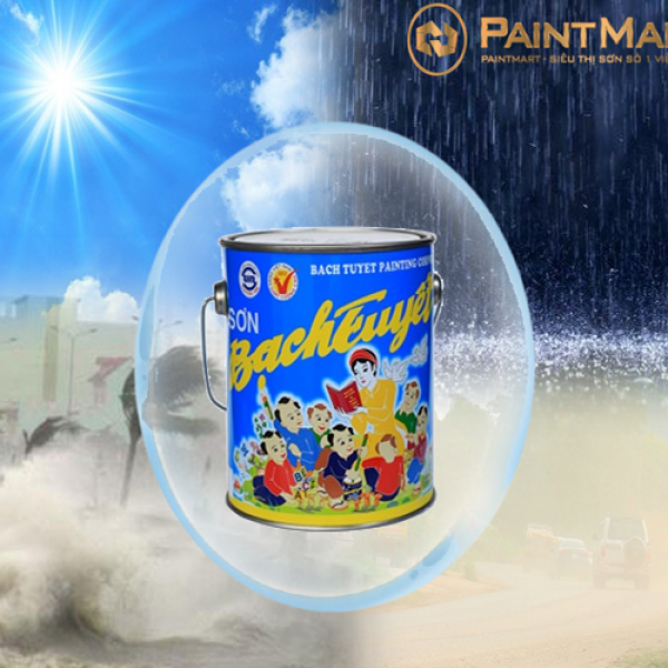 Bảng giá sơn dầu Bạch Tuyết mới nhất 2021 | Paintmart.vn