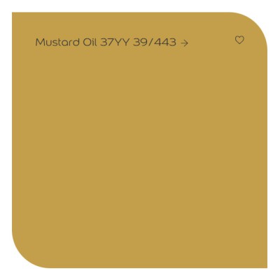 Dulux màu vàng cháy Mustard Oil 37YY 39/443