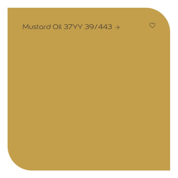 Dulux màu vàng cháy Mustard Oil 37YY 39/443