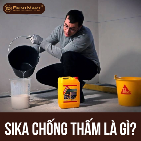 Tổng hợp các loại Sika chống thấm thường dùng