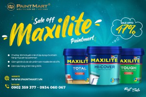 SƠN MAXILITE