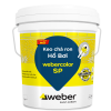 Keo chà ron hồ bơi webercolor SP