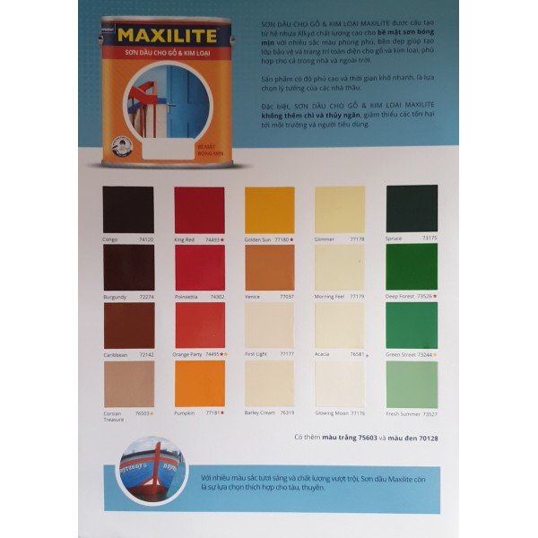 Bảng màu sơn dầu Maxilite