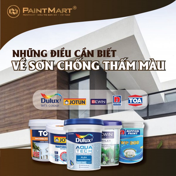 Những điều cần biết về sơn chống thấm màu 