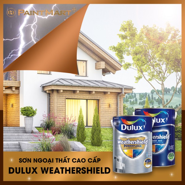 Top 2 Dòng sơn Ngoại thất cao cấp Dulux Weathershield chống lại mọi thời tiết