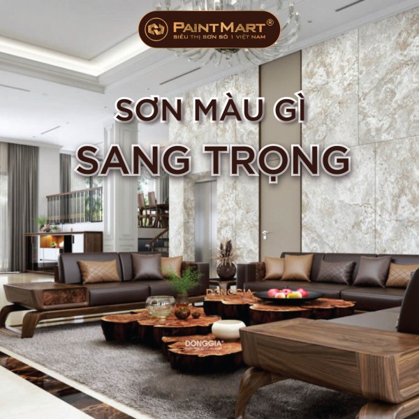 Sơn màu gì sang trọng ? Các tip chọn màu sơn đẹp đúng xu hướng 