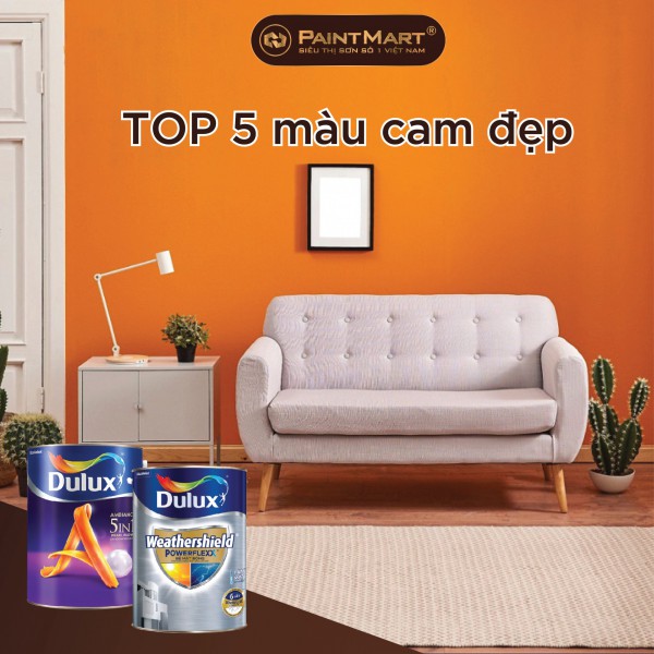 Top 5 màu cam đẹp nhất trên bảng màu sơn dulux 