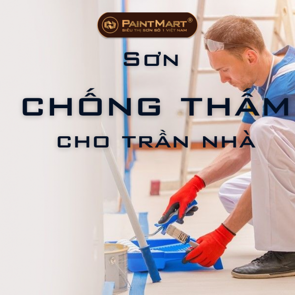 Sơn chống thấm cho trần nhà tốt nhất hiện nay- giá của từng loại sản phẩm