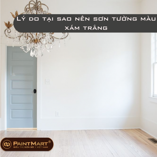 Lý do tại sao nên sơn tường màu xám trắng