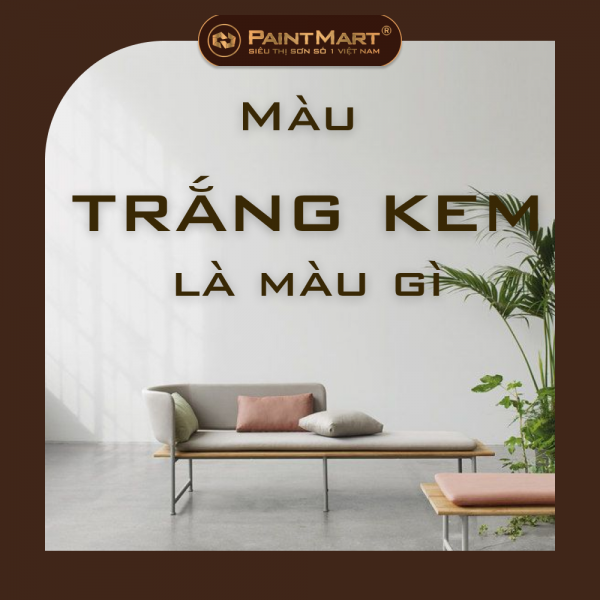 Màu trắng kem là màu gì? Tại sao sơn tường màu trắng kem lại là xu hướng