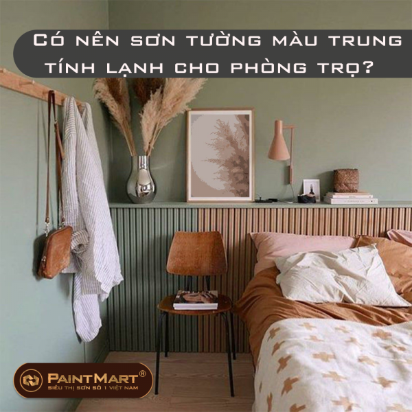Có nên sơn tường màu trung tính lạnh cho phòng trọ? Sơn tường giá sinh viên?