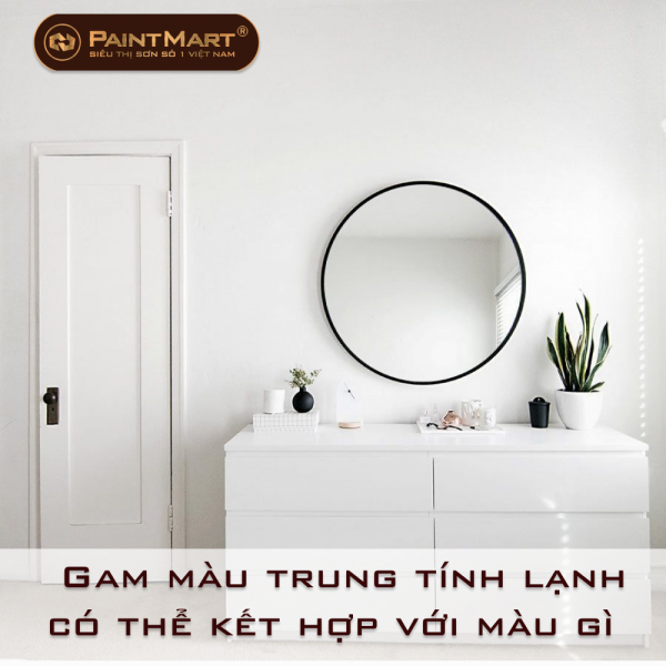 Gam màu trung tính lạnh có thể kết hợp với màu gì để giúp nhà bạn thêm nổi bật?