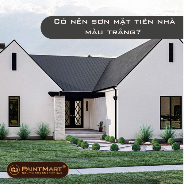 Có nên sơn mặt tiền nhà màu trắng?