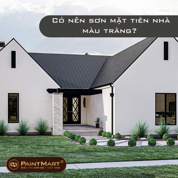 Có nên sơn mặt tiền nhà màu trắng?