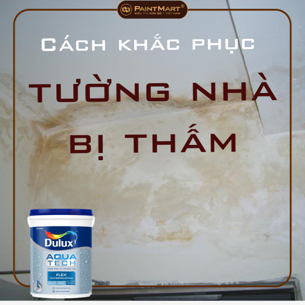 Cách khắc phục khi tường nhà bị thấm Cách khắc phục khi tường nhà bị thấm