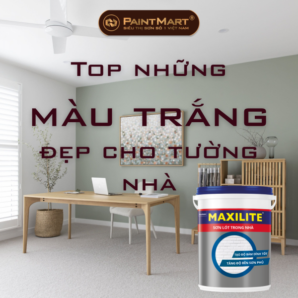 Top những màu trắng đẹp dành cho tường nhà