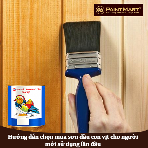 Hướng dẫn chọn mua sơn dầu TOA con vịt cho người mới sử dụng lần đầu 