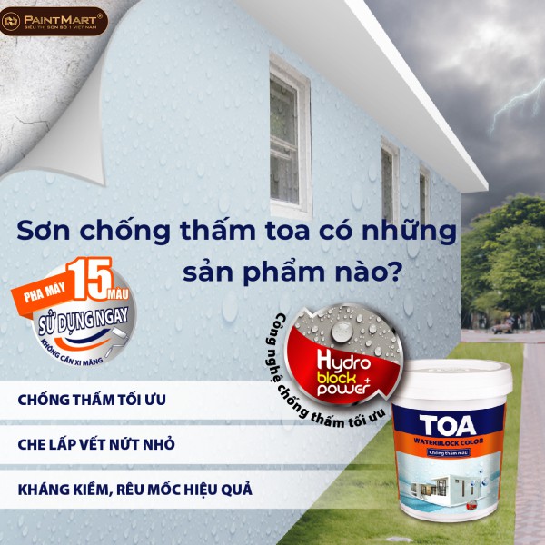 Sơn chống thấm toa có những sản phẩm nào? Ưu nhược điểm của từng dòng sản phẩm.