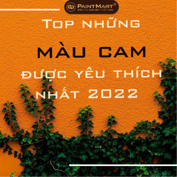 Top những màu cam được yêu thích nhất 2022