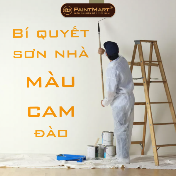 Bí quyết sơn nhà màu cam đào ấn tượng - Xu hướng HOT NHẤT 2022