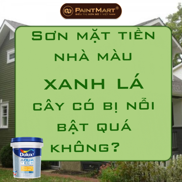 Sơn mặt tiền nhà màu xanh lá cây có bị nổi bật quá không? 