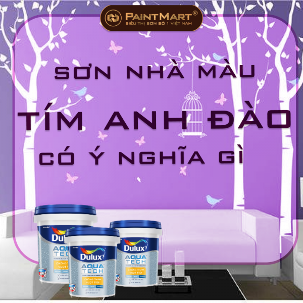 Sơn nhà màu tím anh đào và những ý nghĩa đến từ màu sơn tím