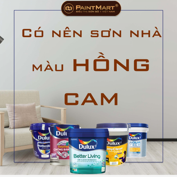 Sơn tường nhà màu hồng cam và các gam màu hồng đẹp trên bảng màu sơn dulux 
