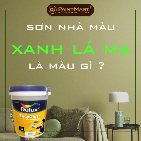 Sơn nhà màu xanh lá mạ là màu gì ? Có nên sơn lên tường nhà Sơn nhà màu xanh lá mạ là màu gì ? Có nên sơn lên tường nhà