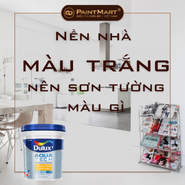 Nền nhà màu trắng nên sơn tường màu gì đẹp, hợp phong thủy